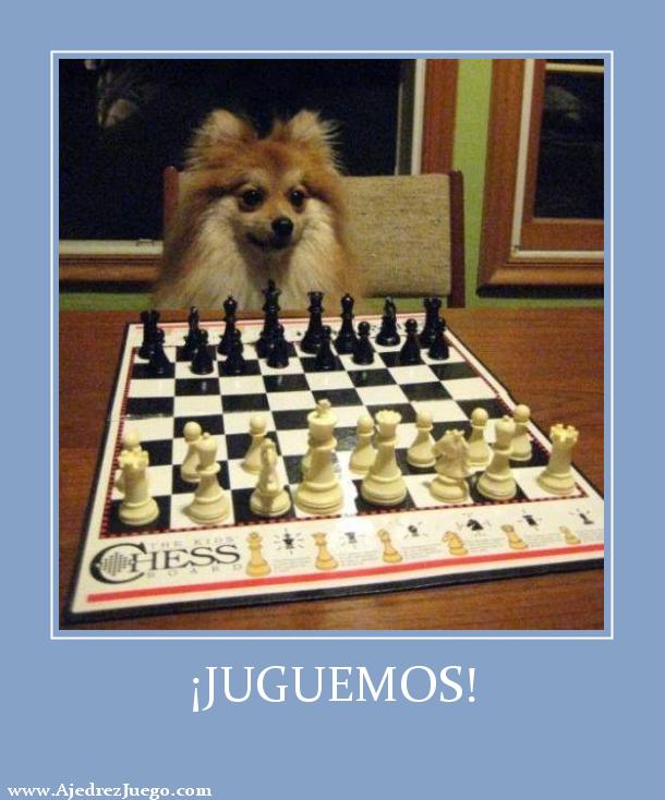 Jugar ajedrez gratis